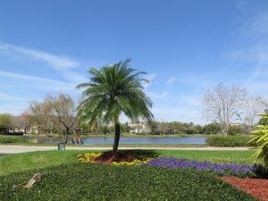 IMG_8057