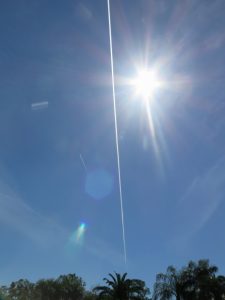 IMG_8063